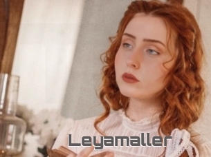 Leyamaller