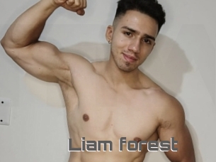 Liam_forest