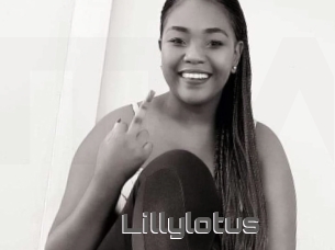 Lillylotus