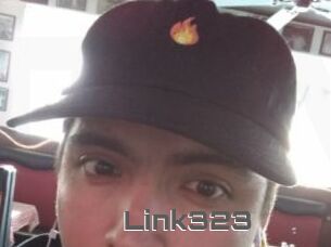 Link323