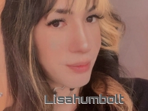 Lisahumbolt