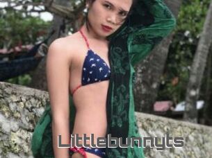 Littlebunnyts