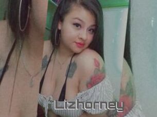 Lizhorney