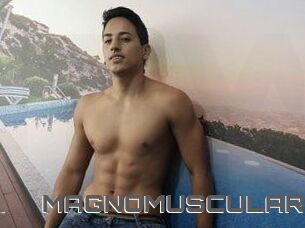 MAGNOMUSCULAR