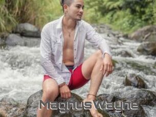 MagnusWayne
