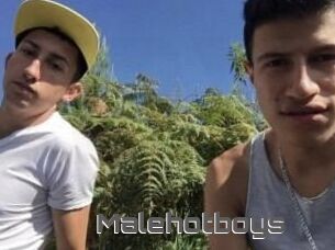 Malehotboys