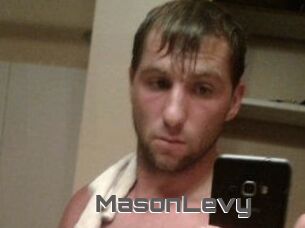 Mason_Levy