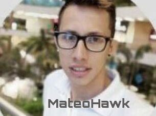 MateoHawk