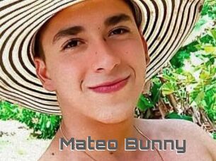 Mateo_Bunny
