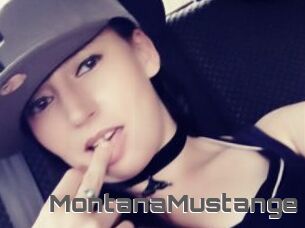 MontanaMustange