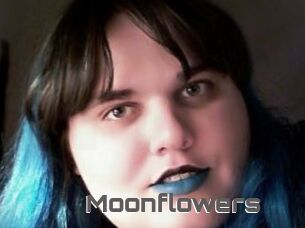 Moonflowers