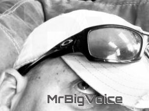MrBigVoice