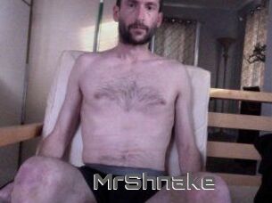 MrShnake