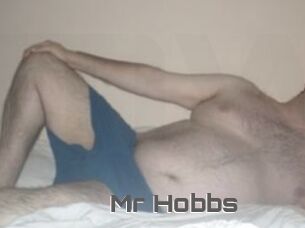 Mr_Hobbs