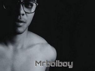 Mrboiboy