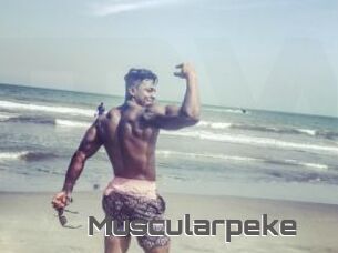 Muscularpeke