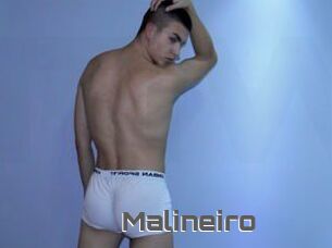 Malineiro