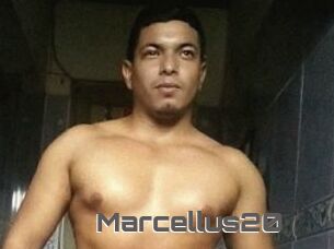 Marcellus20