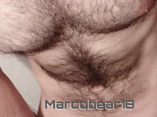 Marcobear18