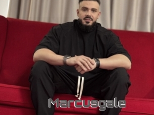 Marcusgale