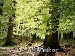 Martiaitor