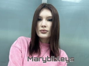 Marybibleys