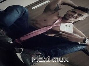 Maxi_mux