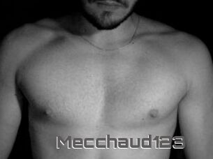 Mecchaud123