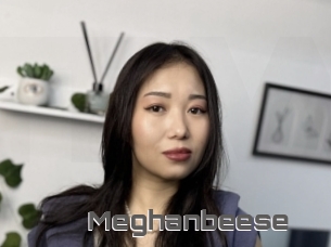Meghanbeese