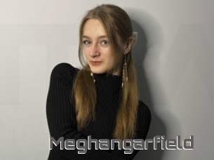 Meghangarfield