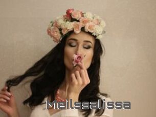Meilssalissa