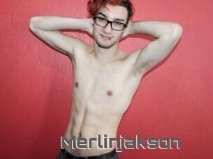Merlinjakson