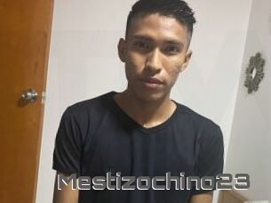 Mestizochino23