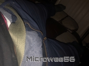 Microwee56