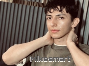 Mikesmart