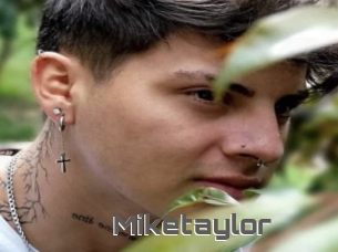 Miketaylor