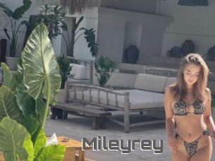 Mileyrey