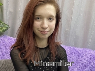 Minamiler
