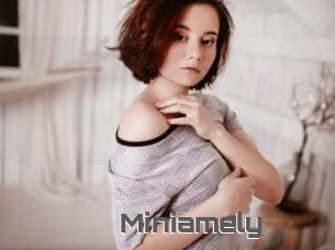 Miniamely