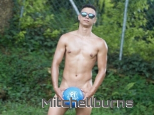 Mitchellburns