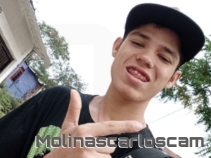 Molinascarloscam