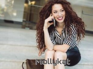 Mollykat