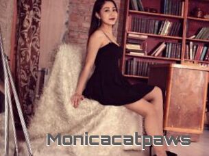 Monicacatpaws