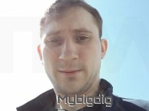Mybigdig