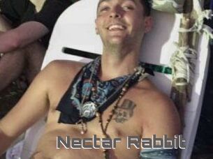 Nectar_Rabbit