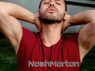 NoahMorton