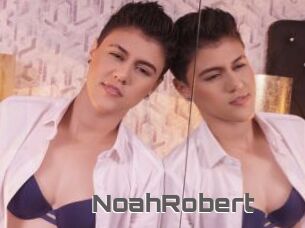 NoahRobert