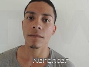 Noren_tor