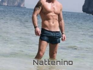 Nattenino
