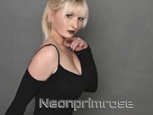 Neonprimrose